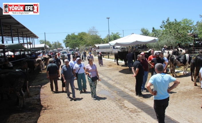 Aydın’daki hayvan pazarında bu yıl durgunluk yaşanıyor