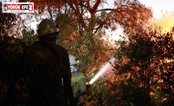 Bakan Yumaklı: "Kuşadası’ndaki orman yangını kontrol altında"