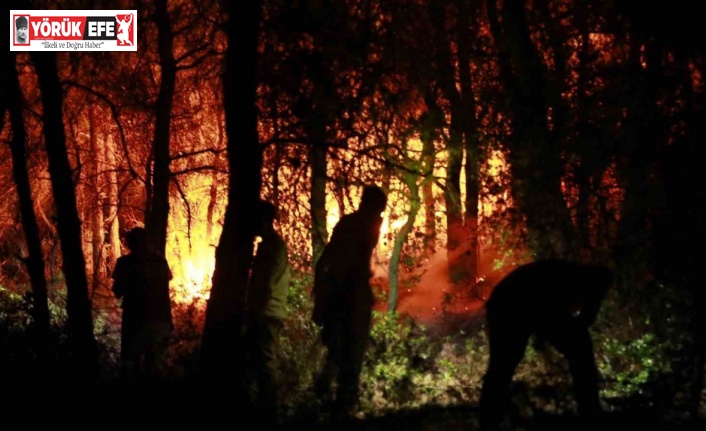 Bakanlık’tan Kuşadası açıklaması