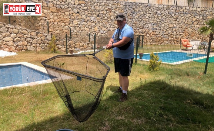 Başkan Sürücü: “Atıl havuzlara dikkat”