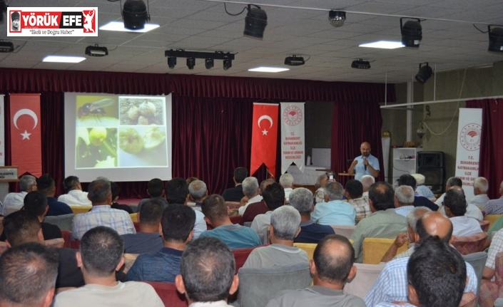Buharkent’te İncir Siyah Sineği ve Hastalıkları Eğitim Toplantısı düzenlendi