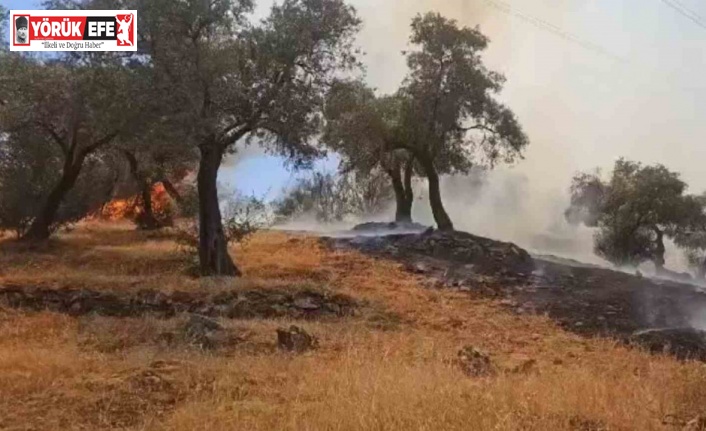 Çine’deki yangın kontrol altına alındı