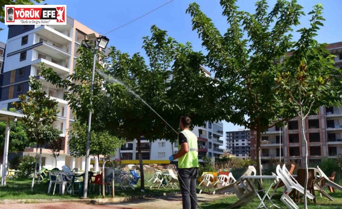 İncirliova’da sivrisinek ile mücadele devam ediyor