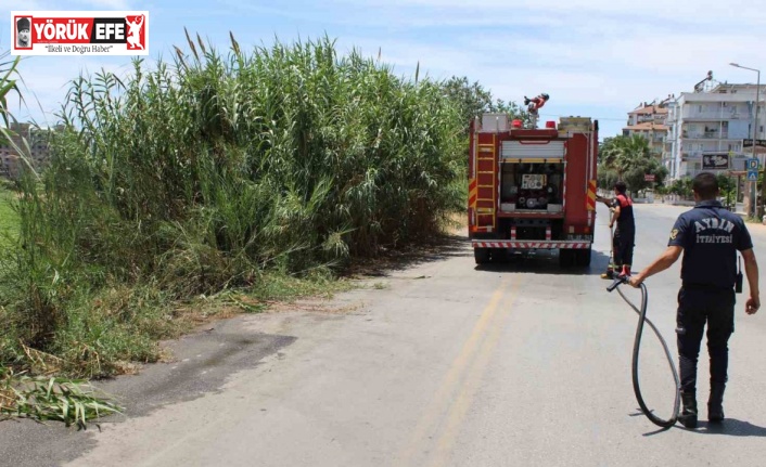 İtfaiyenin hızlı müdahalesi pamuk tarlasını yanmaktan kurtardı