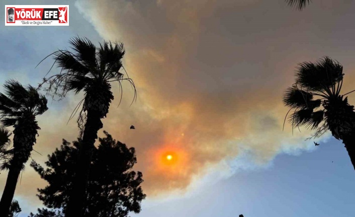 İzmir’deki orman yangını Kuşadası’nı duman bulutuna boğdu