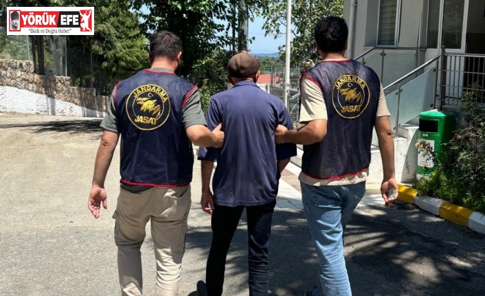 Jandarma iğneyle kuyu kazdı: 11 yıldır aranan şahıs yakaladı