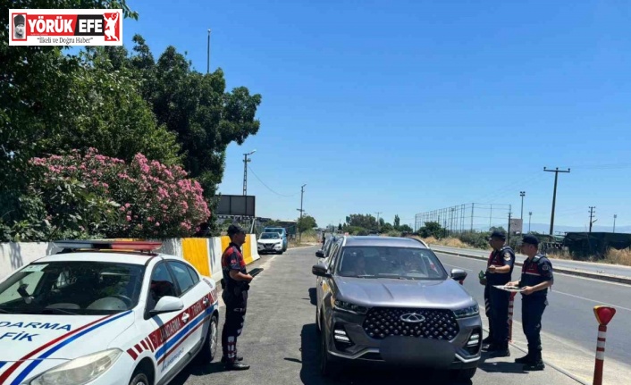 Jandarmadan hız ve emniyet kemeri denetimi