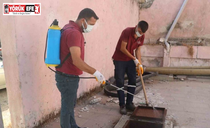 Koçarlı Belediyesi, haşereyle mücadele çalışmalarını sürdürüyor