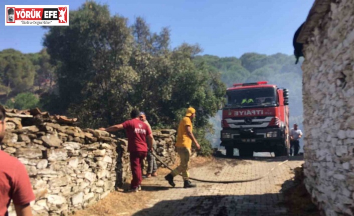 Koçarlı’daki yangın kontrol altına alındı