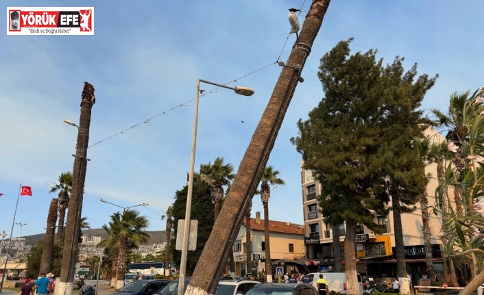 Kuşadası’nda faciaya ramak kaldı