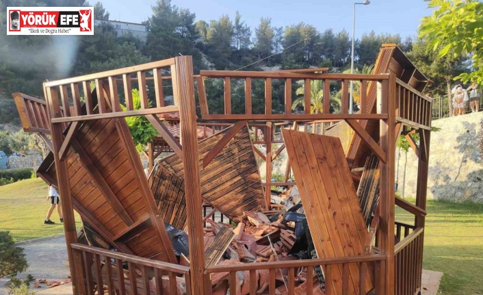 Kuşadası’nda park ve bahçelere saldırı