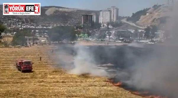 Kuşadası’ndaki kuru ot yangını itfaiyenin hızlı müdahalesiyle söndürüldü