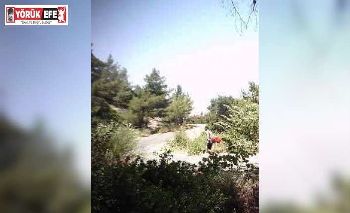 Milli parkta yurtdışına kaçma hazırlığı yaparken yakalandı