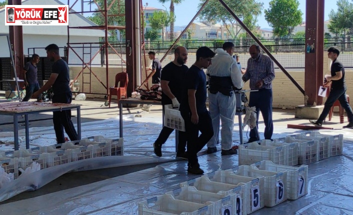 Nazilli Belediyesi’nden bayram mesaisi