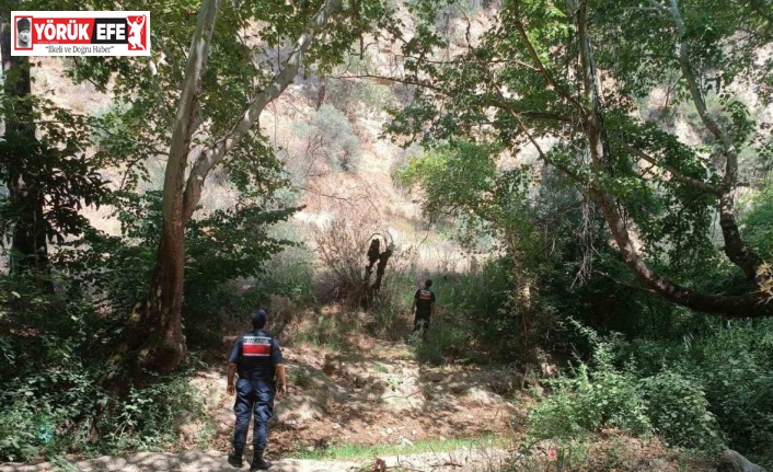 Ormanlık alanda mangal yakan 31 kişi cezadan kaçamadı