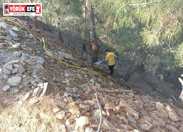 Ormanlık alandaki yangın büyümeden söndürüldü