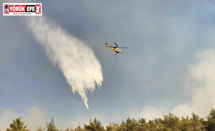 Pamucak’tan Kuşadası’na sıçrayan yangını söndürme çalışmaları devam ediyor