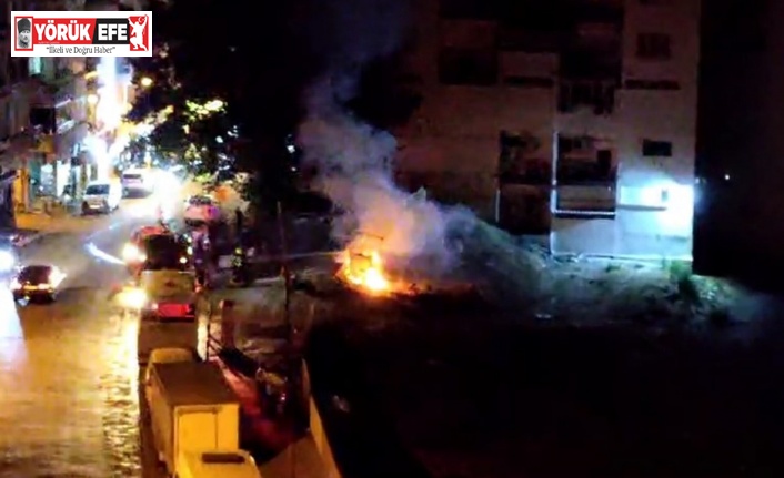 Park halindeki fayton tamamen yanarak kullanılamaz hale geldi