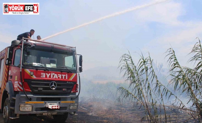 Sazlık alanda çıkan yangın korkuttu