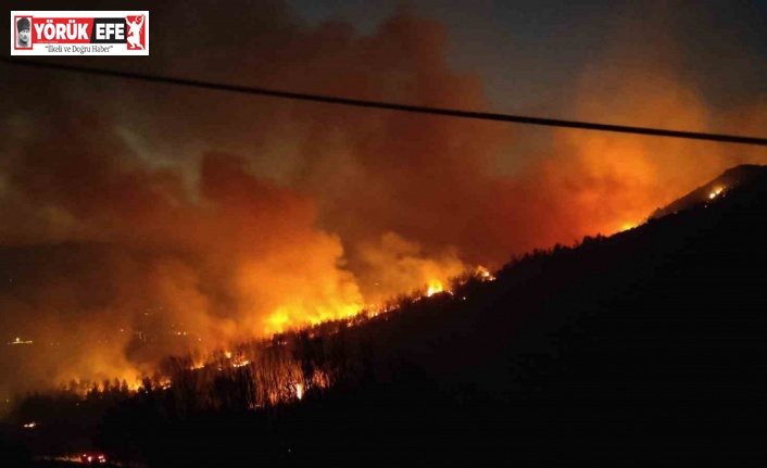 Selçuk’taki yangında felaket büyüyor