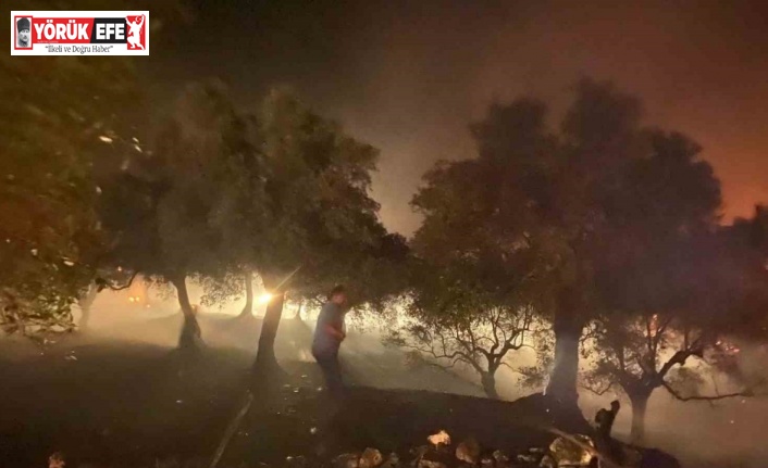 Sultanhisar’daki yangın büyük ölçüde kontrol altına alındı