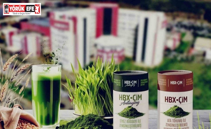 Taze buğday çiminin yaşlanmayı geciktirdiği belirtildi