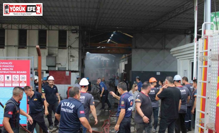 Aydın’da fabrika yangını: 9 kişi dumandan etkilendi