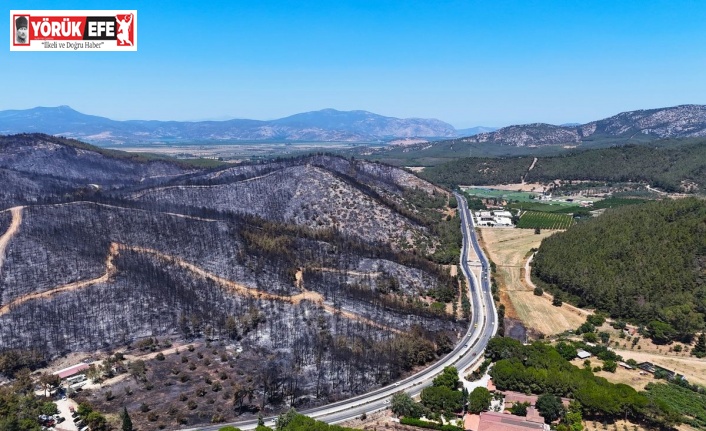 Aydın’da orman yangınlarına dikkat çekildi