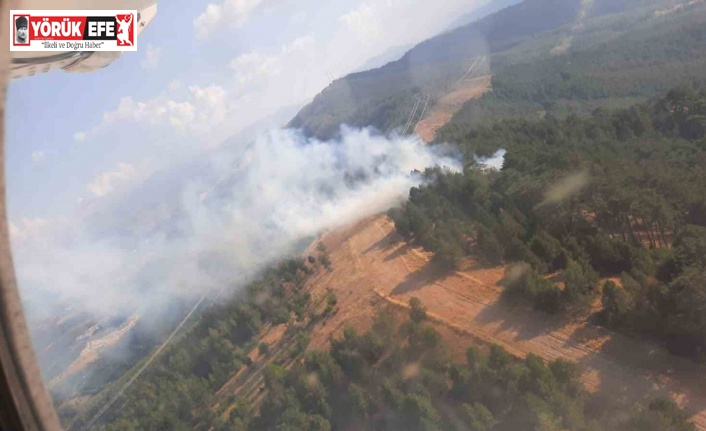 Aydın’da yıldırım kaynaklı yangınlar söndürüldü