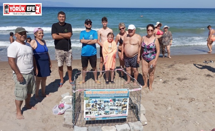 Caretta carettalar Kuşadası’nda 3 ayrı noktaya yumurta bıraktı