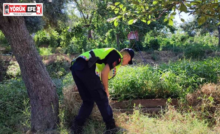 Çine’de elektrik direği ve kablo hırsızlığı ile ilgili gözaltına alınan şahıslar serbest bırakıldı