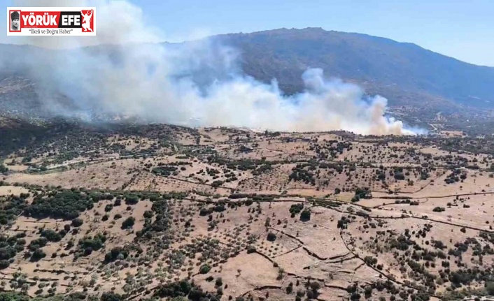 Çine’de orman yangını