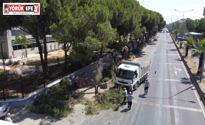 Vatandaşların, can ve mal güvenliği için tehlike arz eden ağaçlar budandı