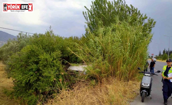 Yoldan çıkan ticari araç ağaca çarptı: 2 yaralı