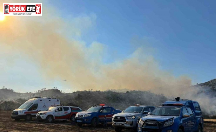 Bozdoğan’daki yangın kontrol altına alındı