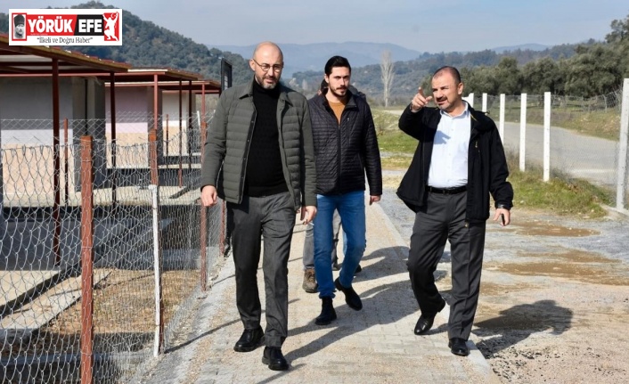 Başkan Zencirci, barınak ve rehabilitasyon merkezi çalışmalarını yerinde inceledi