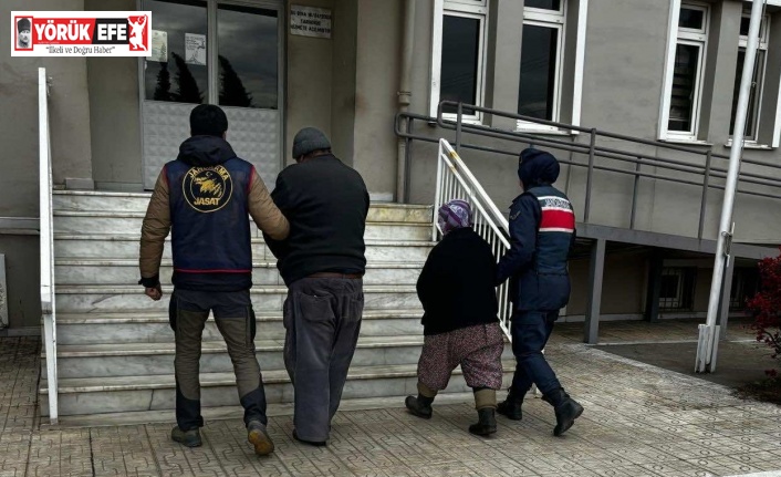 Yevmiyeli çalıştıkları çilek bahçesinde yakalandılar