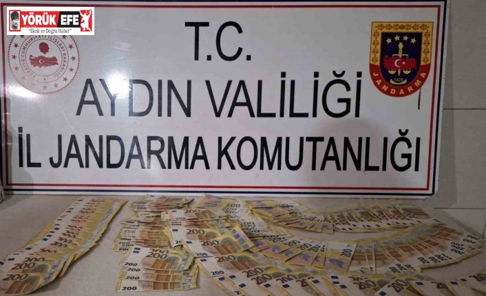 Bozdoğan’da 6 milyon TL’lik hırsızlık