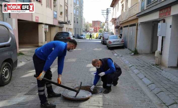 Efeler Belediyesi halk sağlığını koruyor