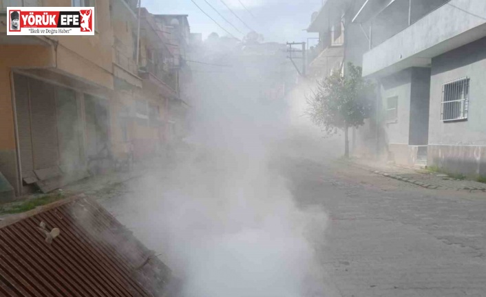Koçarlı Belediyesi’nden haşere ve yabani otlara erken müdahale