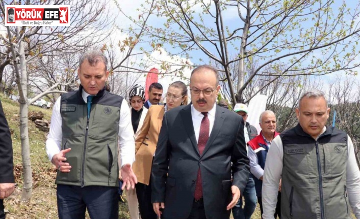 Aydın’da Kestane zararlısına karşı biyolojik mücadele