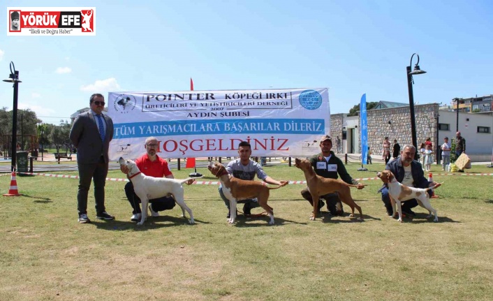 Aydın’da köpekler podyuma çıktı
