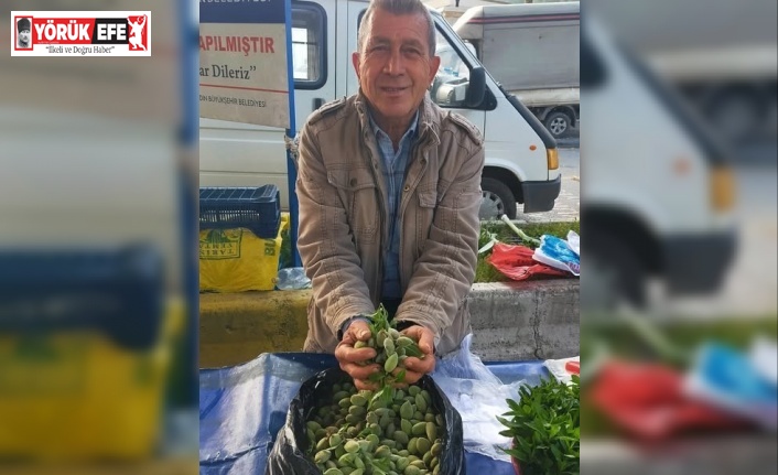 Çağla, Aydın’daki tezgahlarda yerini aldı: Kilosu 250 lira