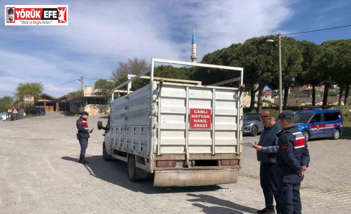 Canlı hayvan taşıyan araçlar denetlendi