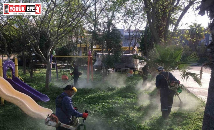 Didim Belediyesi yeşil alanlarda bakım çalışmalarını sürdürüyor