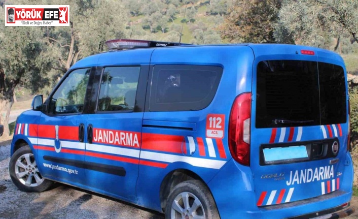 İncir hırsızı 4 şüpheli suçüstü yakalandı