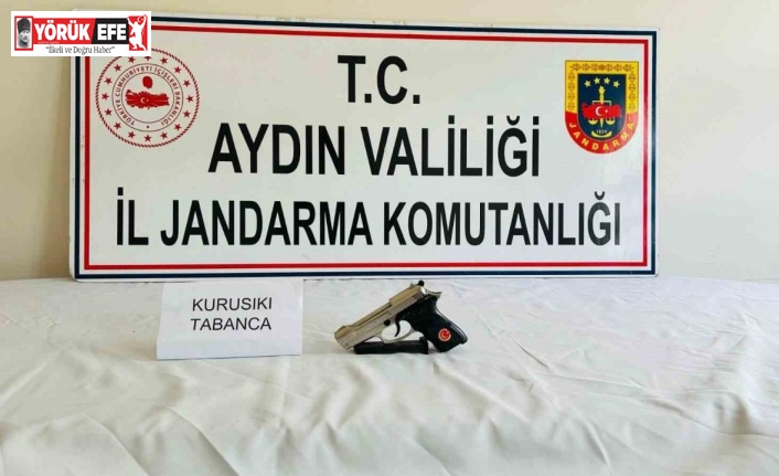 Jandarmadan silah kaçakçılarına operasyon: 10 gözaltı