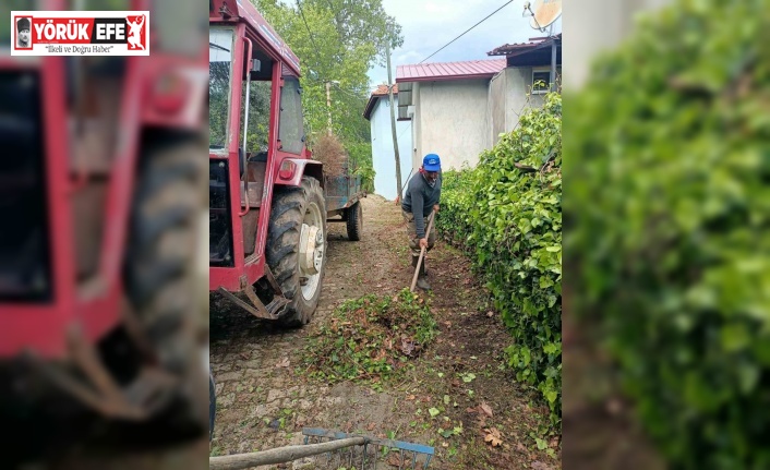 Karacasu Belediyesi’nden Kahvederesi Yaylası’nda temizlik mesaisi