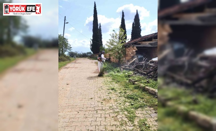 Karacasu Belediyesi’nden yeşil alanlarda yoğun mesai