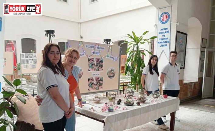 Liseli gençler, okulun ekosistemini değiştirdi
